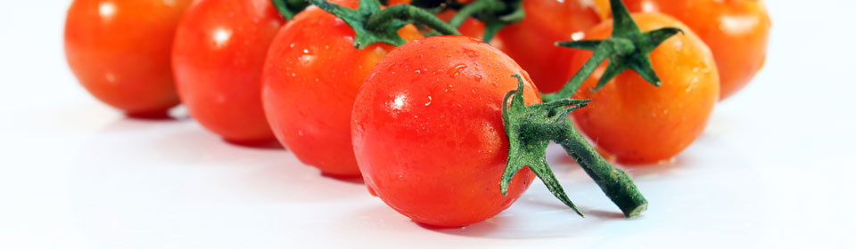 一键服务启停的DDOS网页端平台