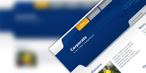 便捷且用户友好的DDOS网页端平台