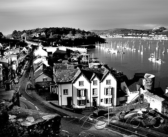 网站攻击工具手机版